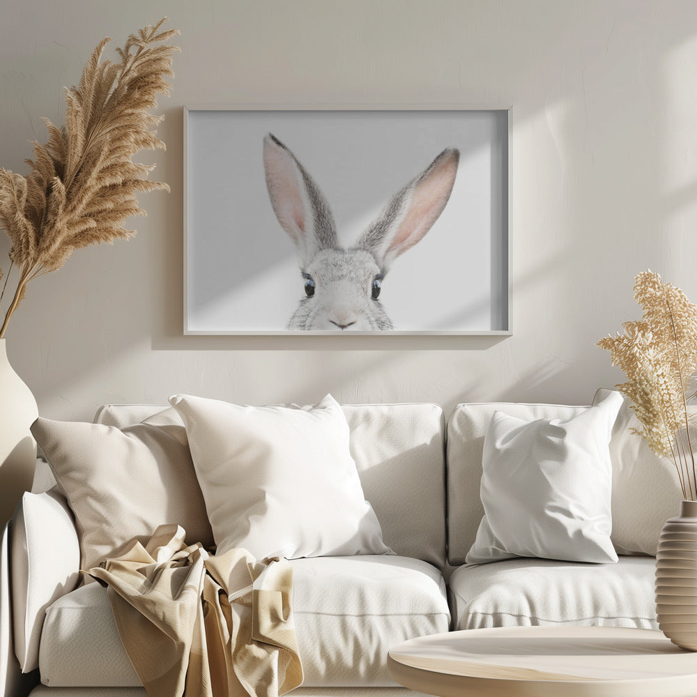 Fine Art Print, Peeking Bunny