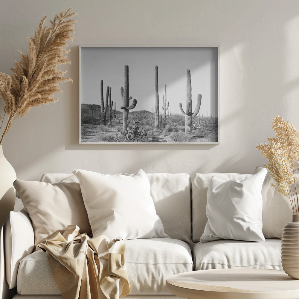 Fine Art Print, Grey Cactus Land