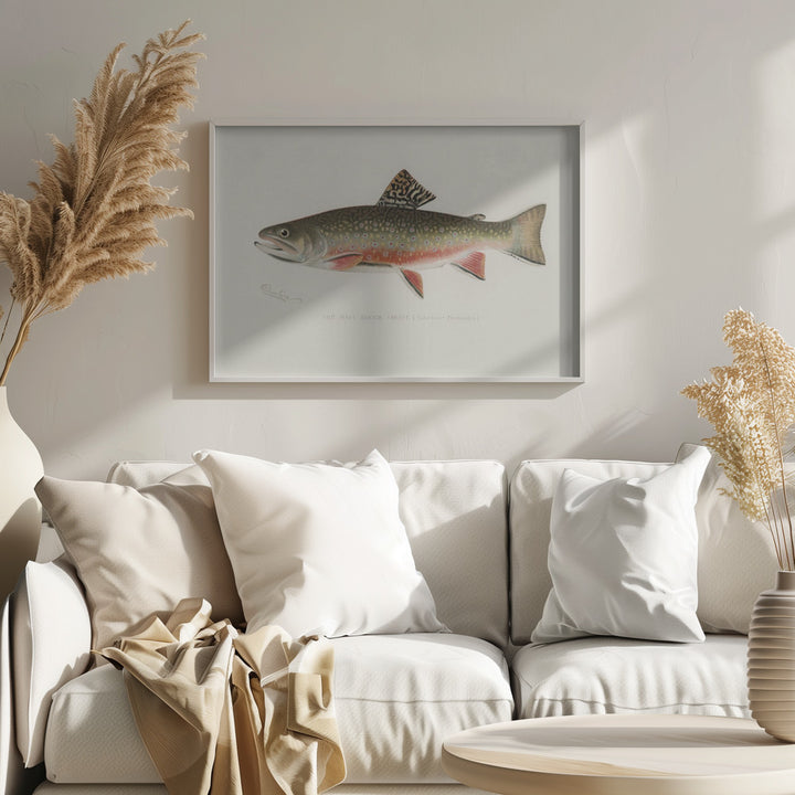 Fine Art Print, Male Brook Trout