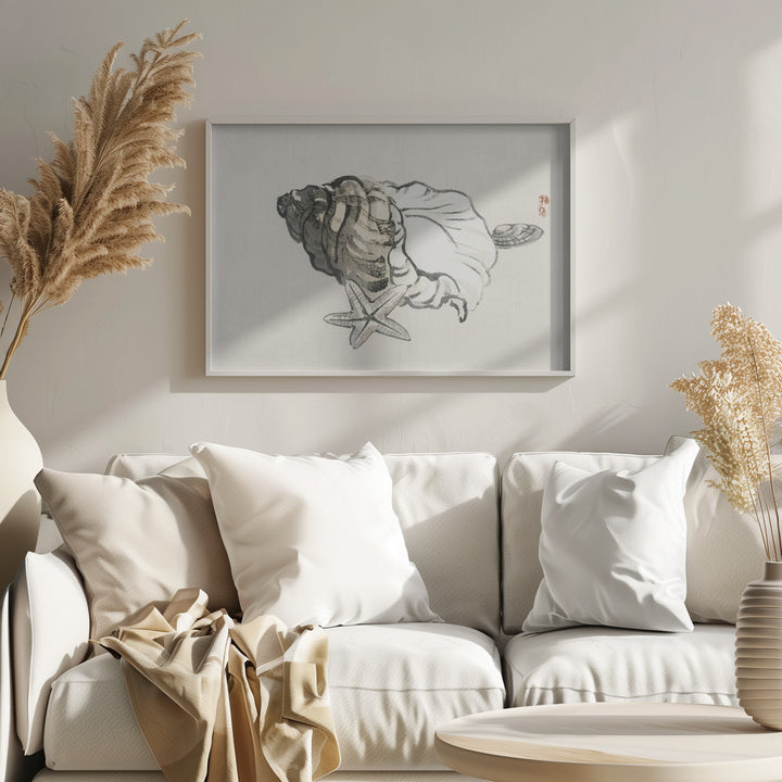 Fine Art Print, Star Fish and Conch