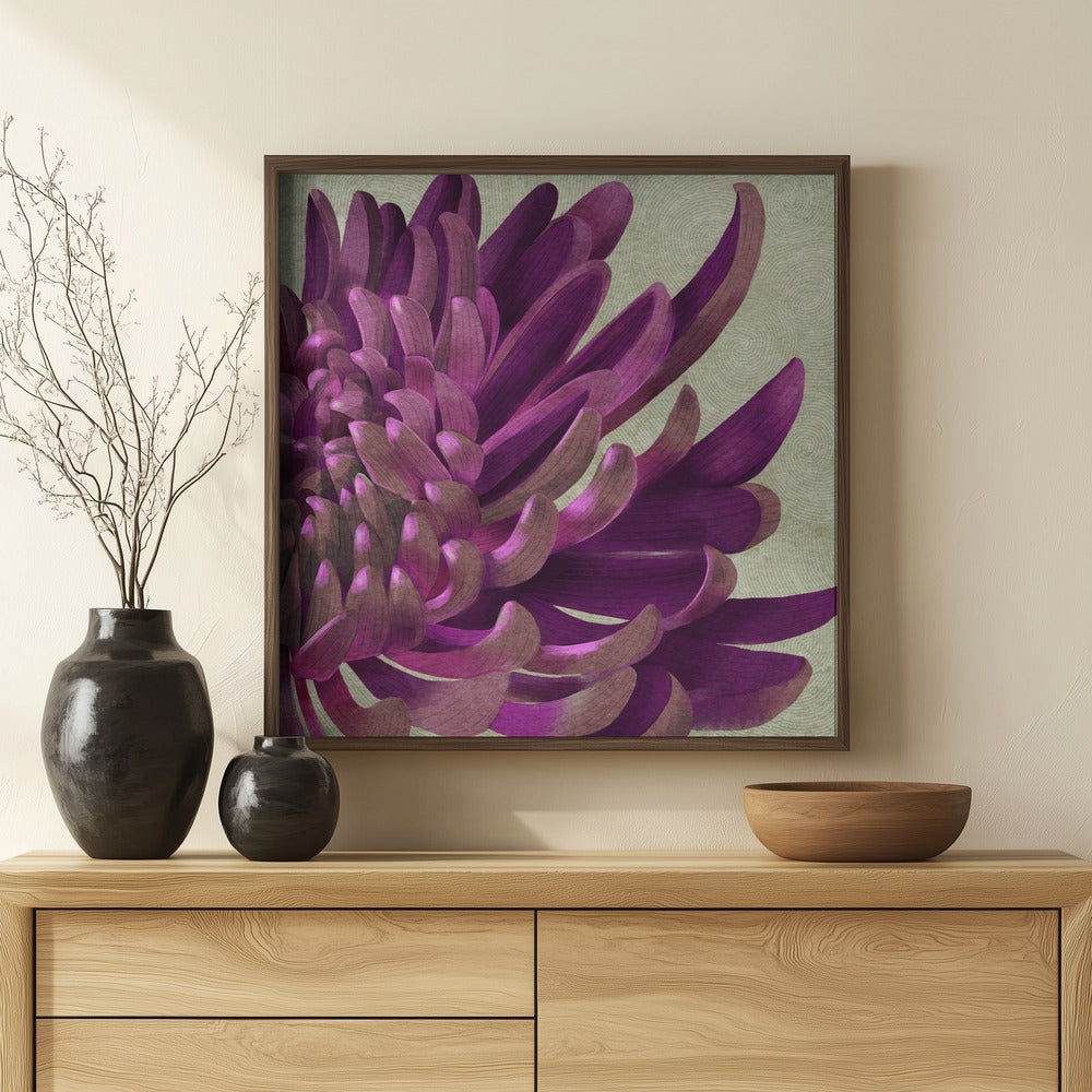 Fine Art Print, Purple Chrysanthemum