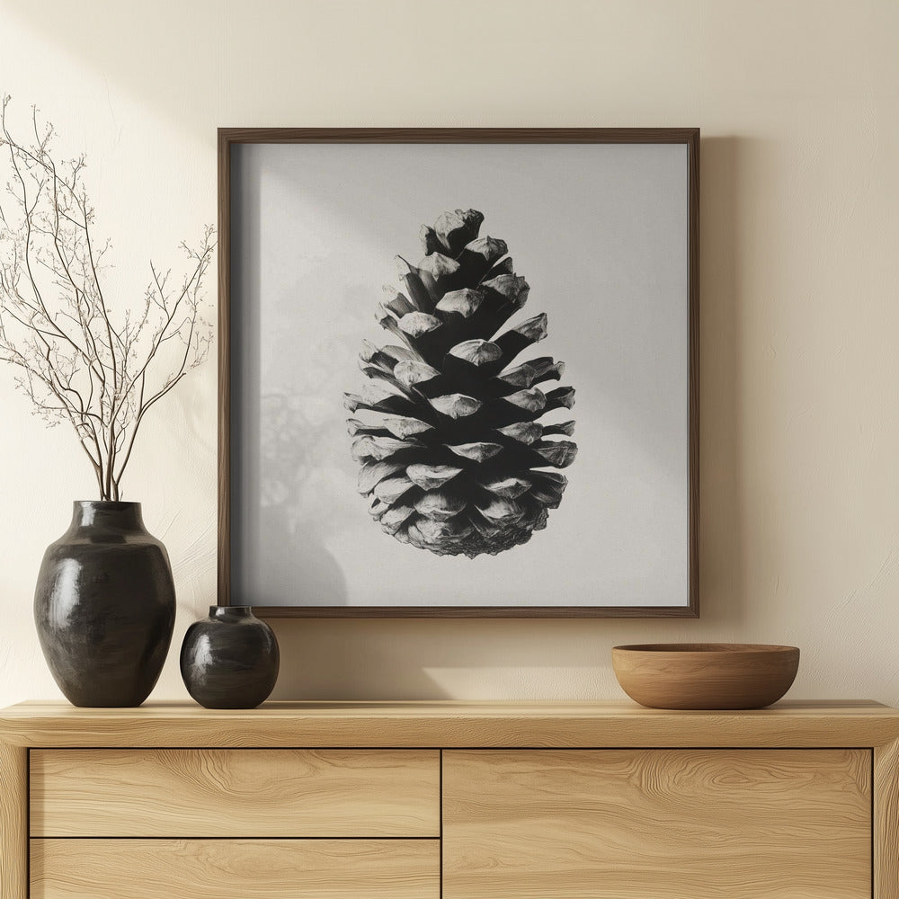 Fine Art Print, Pinecone