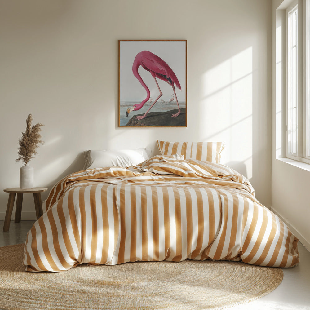 Fine Art Print, Pink Flamingo Ii From Birds of America (1827)