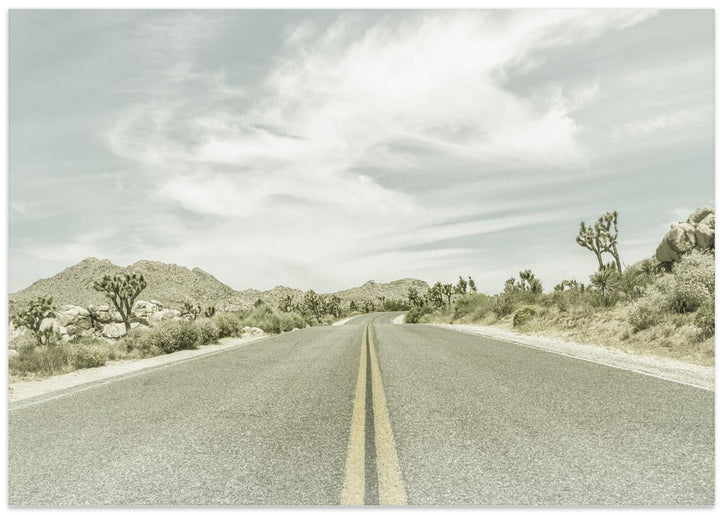 Fine Art Print, Vintage Joshua Trees, Park Boulevard