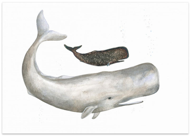 Fine Art Print, Mother and Baby Sperm Whale