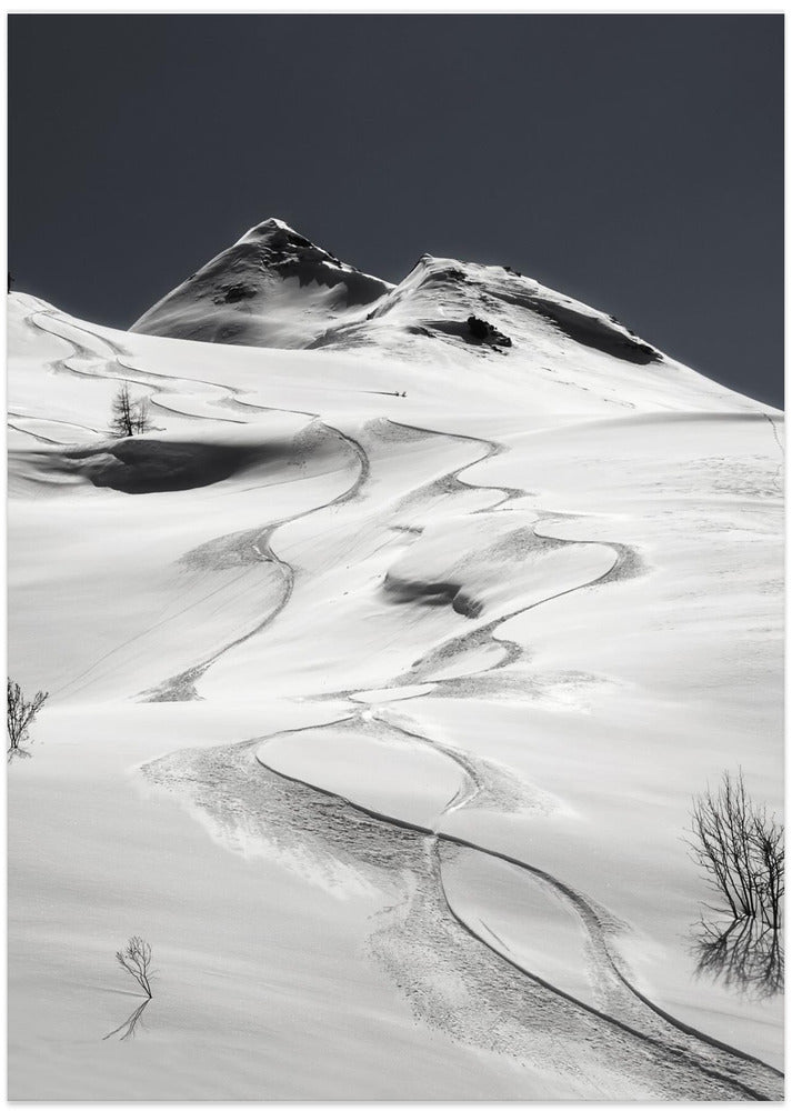 Fine Art Print, freeride