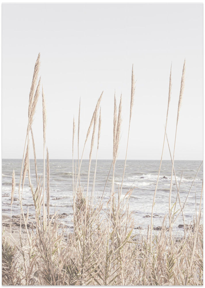 Fine Art Print, Beach_Vass_001