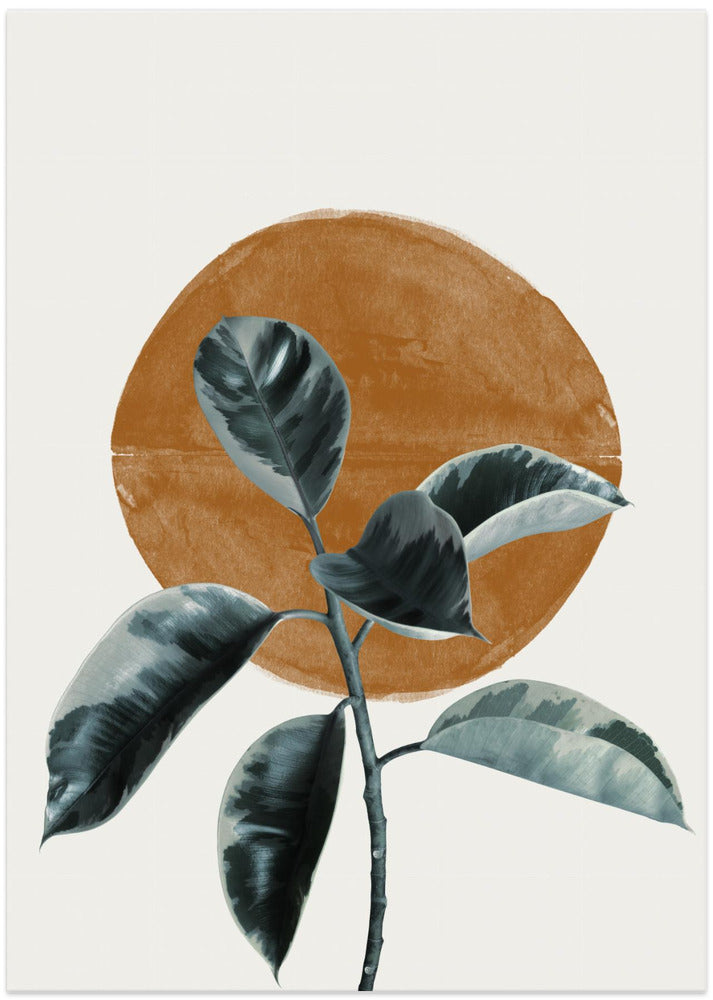 Fine Art Print, Sun and Ficus