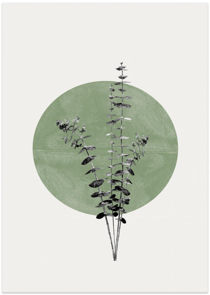 Fine Art Print, Eucalyptus and Green Moon