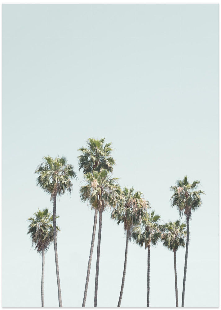 Fine Art Print, Blue Palm Trees