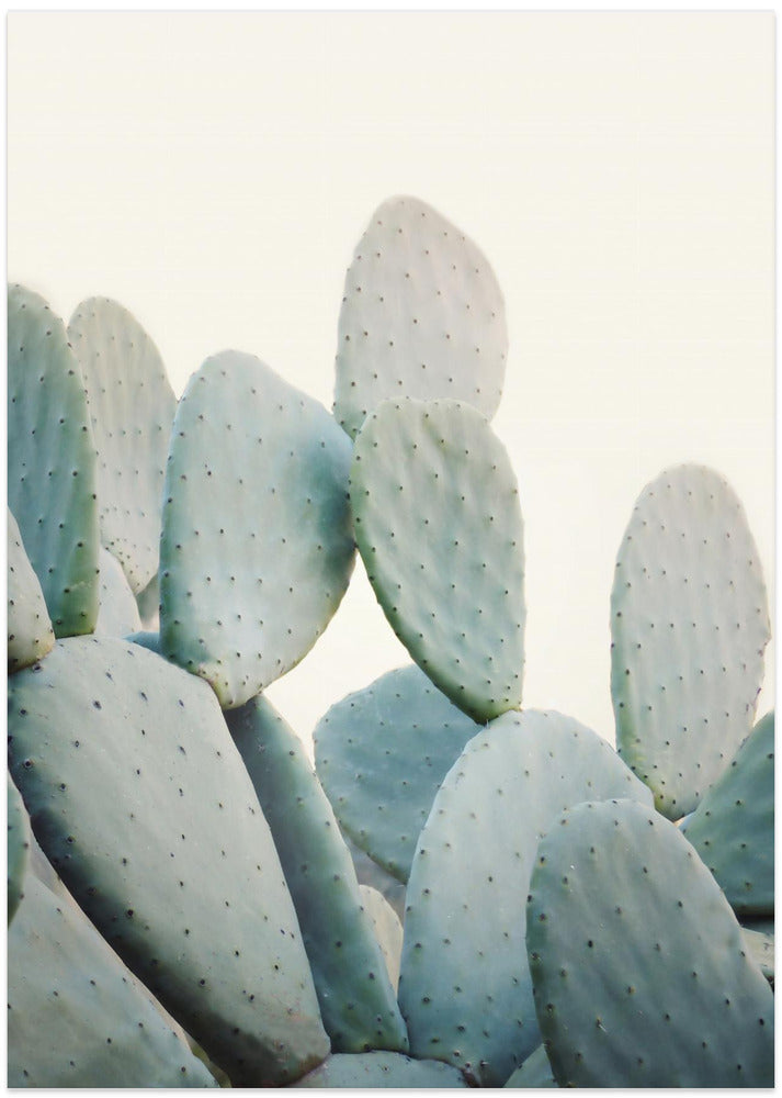 Fine Art Print, Pastel Cacti