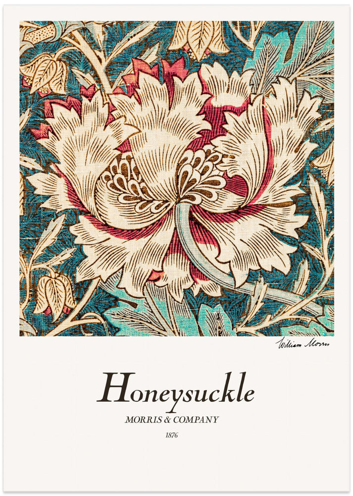 Fine Art Print, Honeysuckle