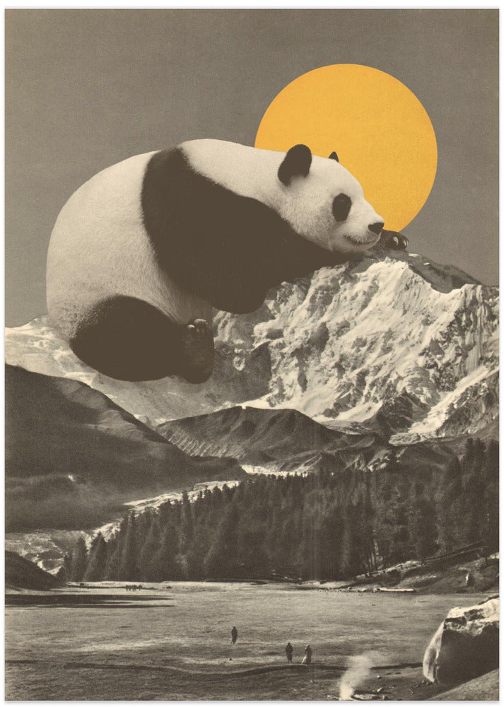 Fine Art Print, Giant Panda Nap