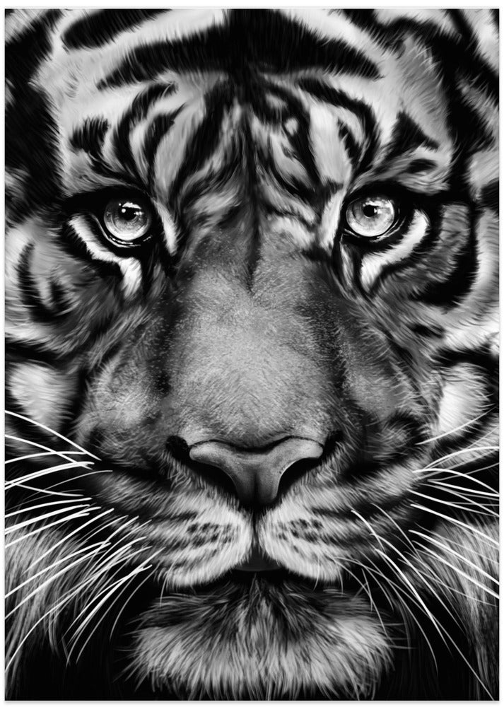 Fine Art Print, Tiger