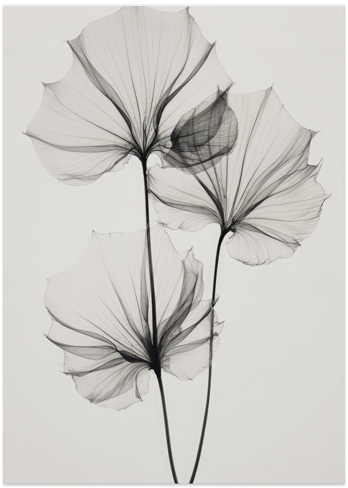 Fine Art Print, Transparent Botanic No 3