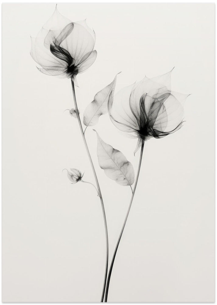 Fine Art Print, Transparent Botanic No 7