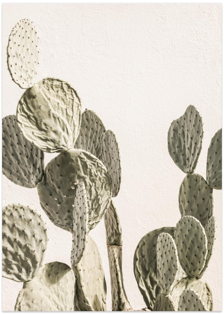 Fine Art Print, Mexi Catus