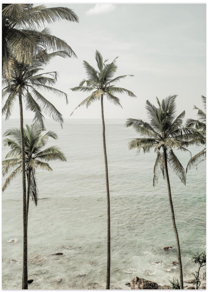 Fine Art Print, Tropical Dreams