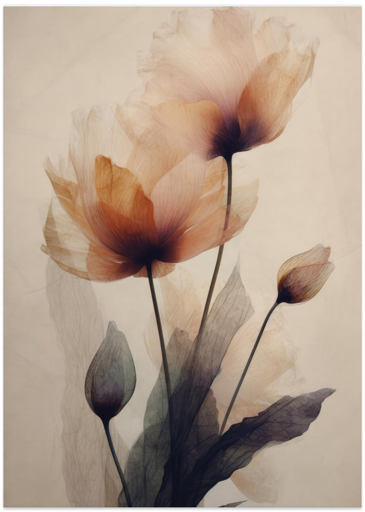 Fine Art Print, Parchment Flowers No 3