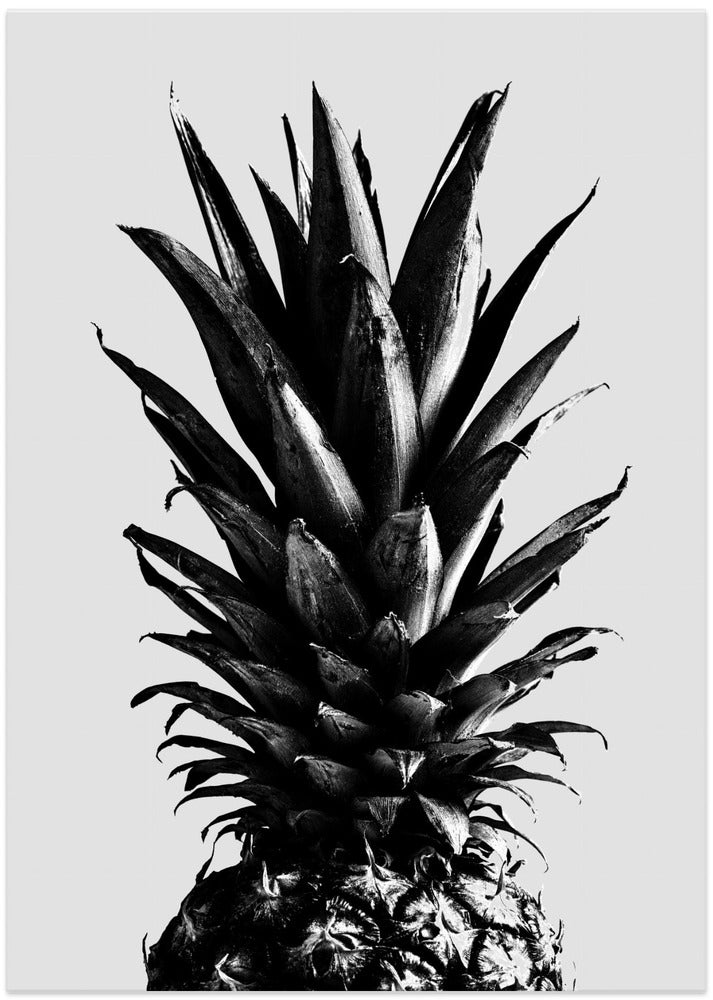 Fine Art Print, Pine Gray