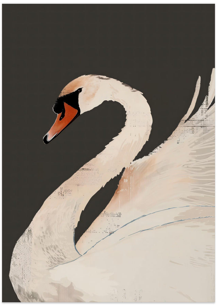 Fine Art Print, The Swan