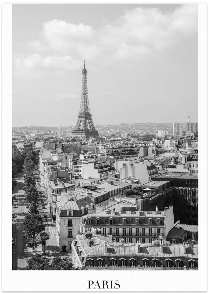 Fine Art Print, Pariseiffeltowerbw1 Size24x36