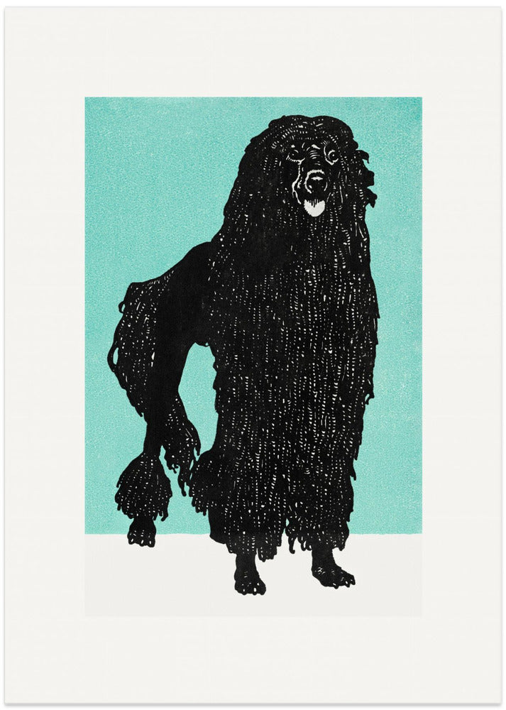 Fine Art Print, Poodle