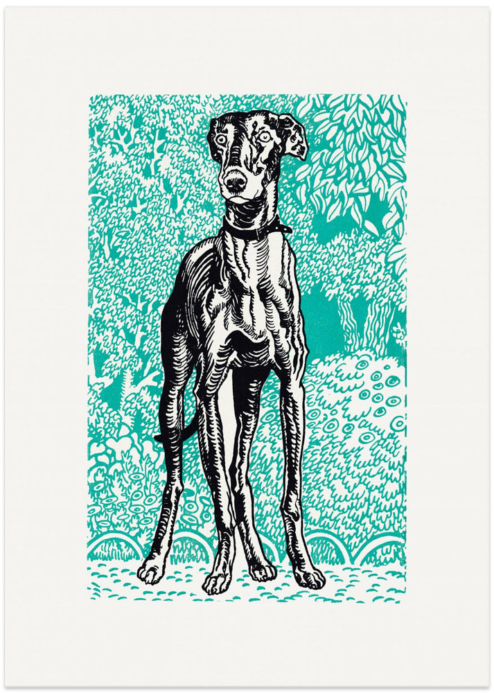 Fine Art Print, Greyhound