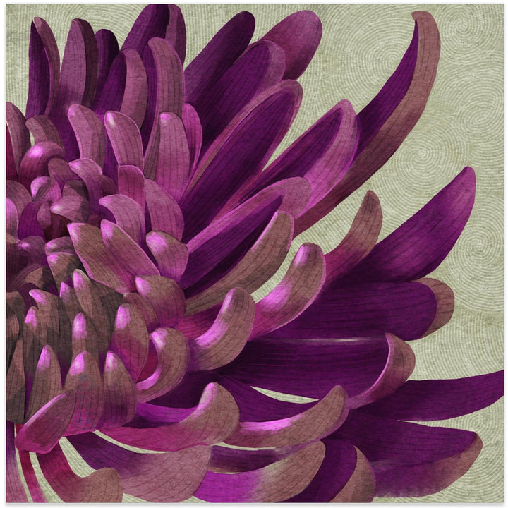 Fine Art Print, Purple Chrysanthemum